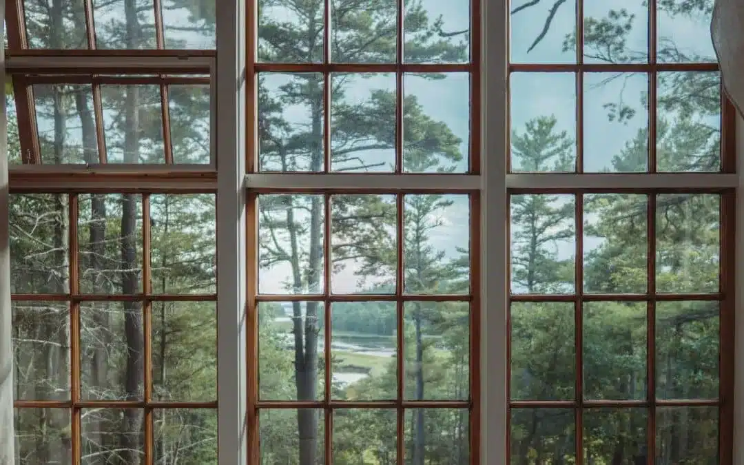 A view of windows with a scenic outdoor view