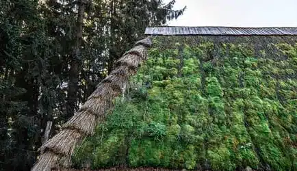 The old roof of the house in the forest, covered with moss in providence