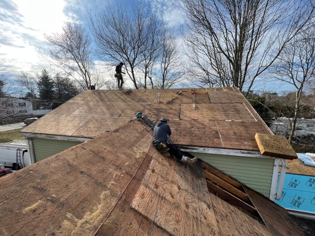 Tearing off down to the decking so it can be inspected.
